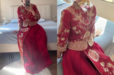 穿着秀禾先干一发！