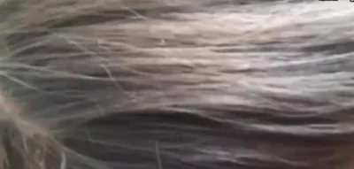 金典回顾人妻小悠2「寻夫妻单女交流私信」